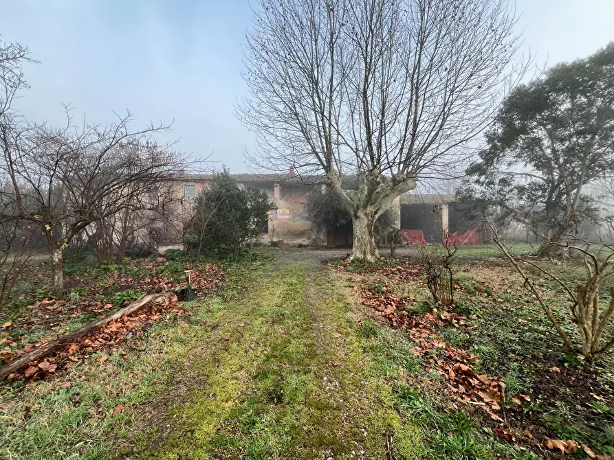 Immagine 4 di Rustico / casale in vendita  a Calcinaia