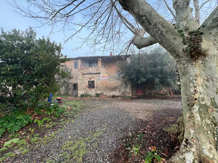 Immagine 2 di Rustico / casale in vendita  a Calcinaia