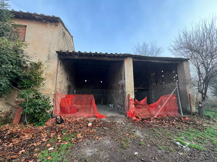 Immagine 42 di Rustico / casale in vendita  a Calcinaia