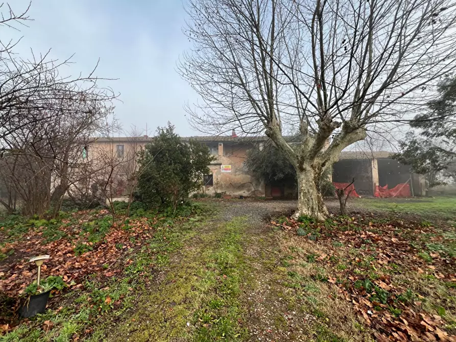 Immagine 6 di Rustico / casale in vendita  a Calcinaia