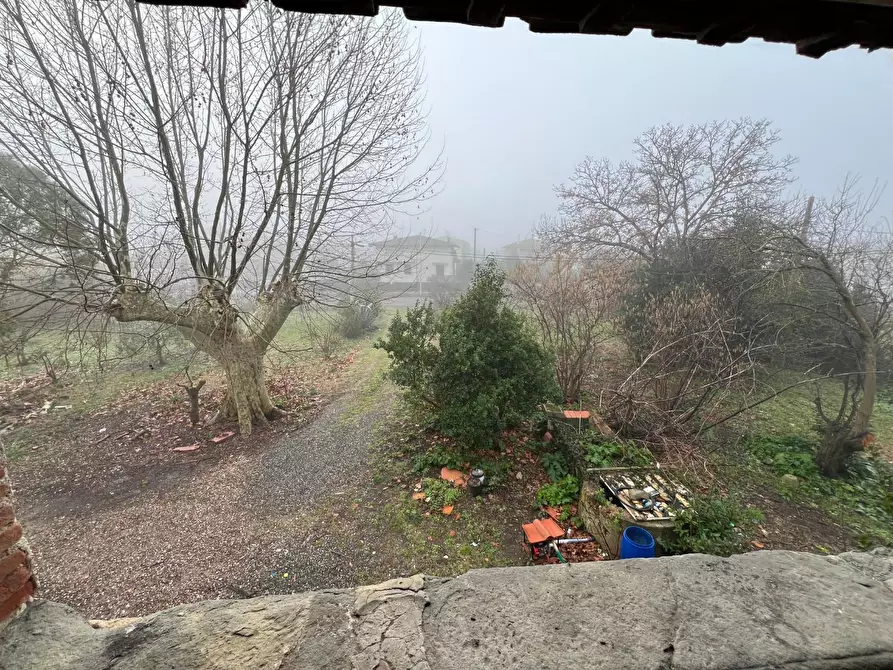 Immagine 30 di Rustico / casale in vendita  a Calcinaia