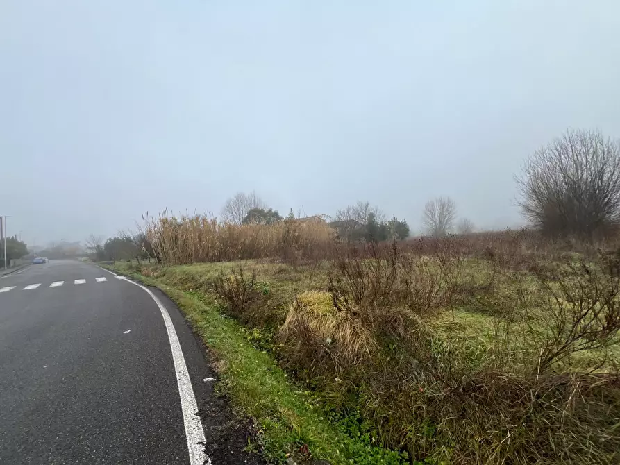 Immagine 11 di Rustico / casale in vendita  a Calcinaia