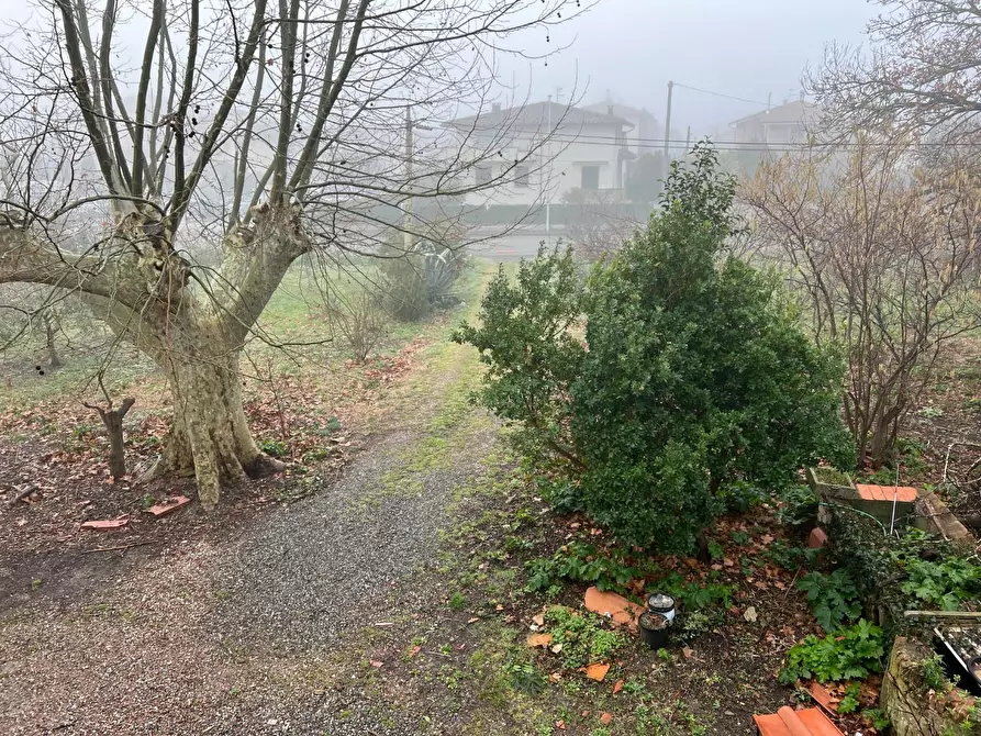 Immagine 31 di Rustico / casale in vendita  a Calcinaia