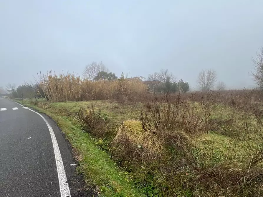 Immagine 12 di Rustico / casale in vendita  a Calcinaia