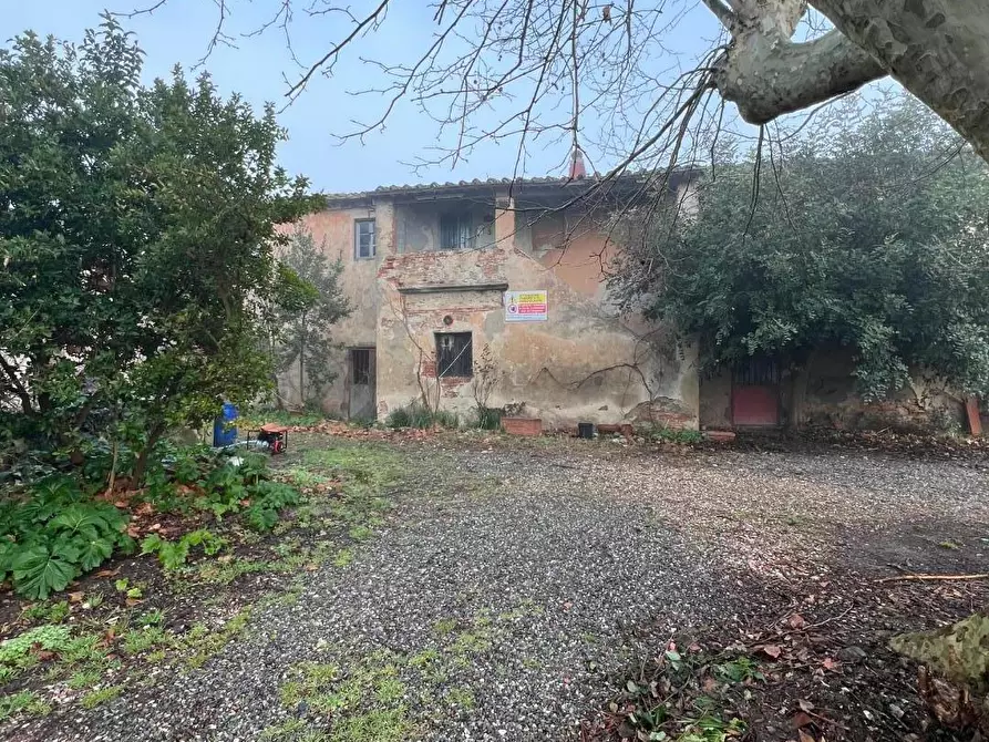 Immagine 3 di Rustico / casale in vendita  a Calcinaia
