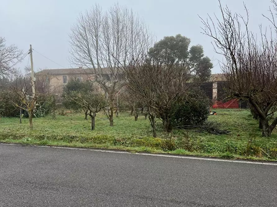 Immagine 16 di Rustico / casale in vendita  a Calcinaia