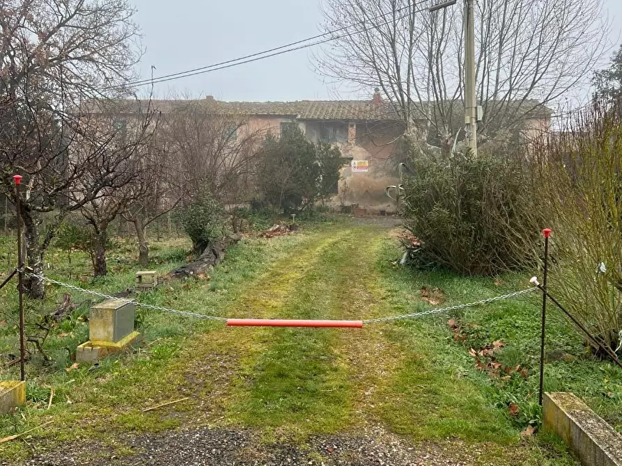 Immagine 8 di Rustico / casale in vendita  a Calcinaia