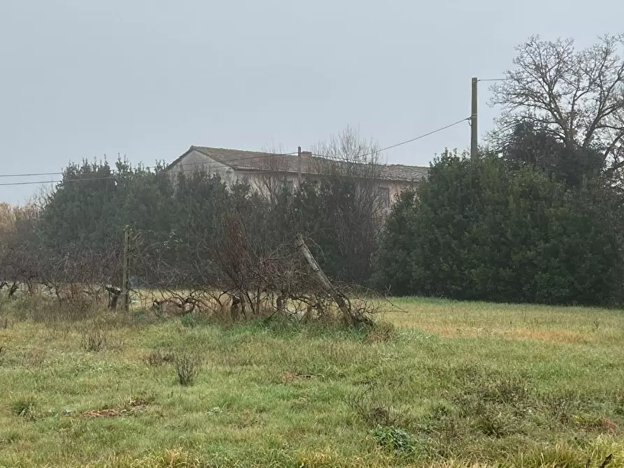 Immagine 10 di Rustico / casale in vendita  a Calcinaia