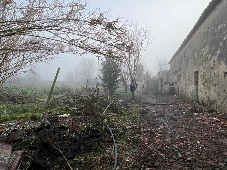 Immagine 32 di Rustico / casale in vendita  a Calcinaia