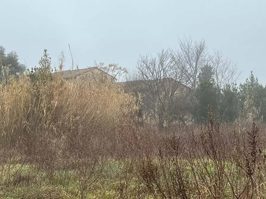 Immagine 14 di Rustico / casale in vendita  a Calcinaia