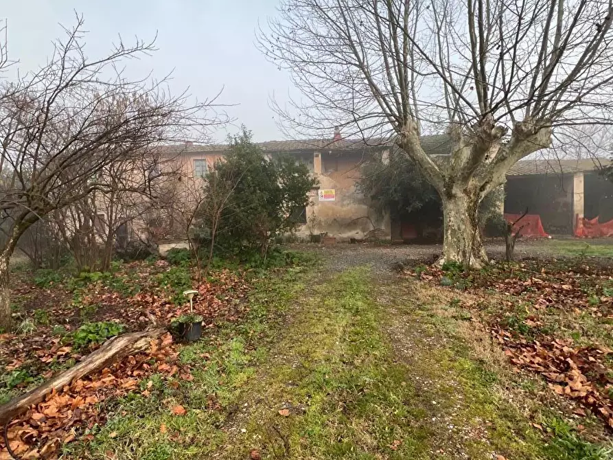 Immagine 5 di Rustico / casale in vendita  a Calcinaia