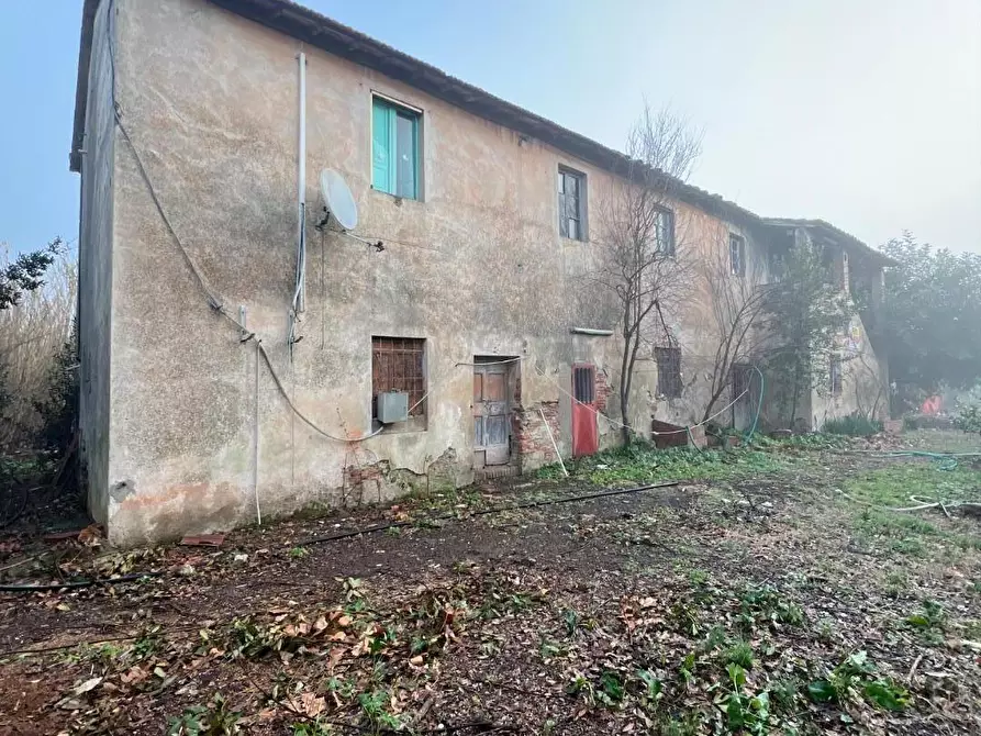 Immagine 38 di Rustico / casale in vendita  a Calcinaia
