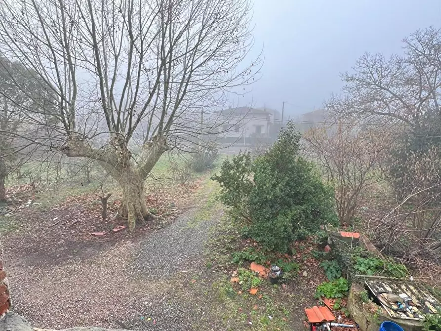 Immagine 29 di Rustico / casale in vendita  a Calcinaia