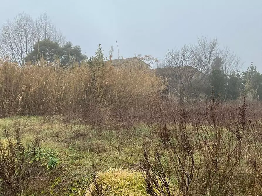 Immagine 13 di Rustico / casale in vendita  a Calcinaia