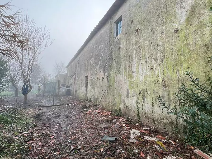 Immagine 35 di Rustico / casale in vendita  a Calcinaia