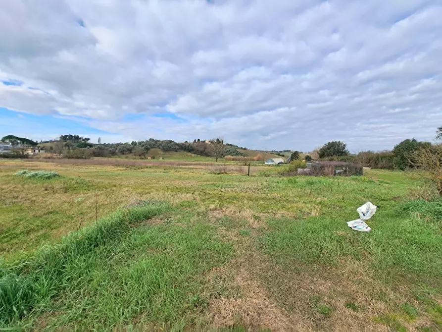 Immagine 11 di Terratetto in vendita  a Cerreto Guidi