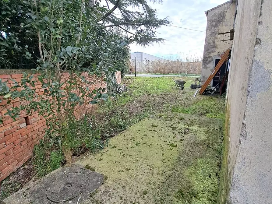 Immagine 13 di Terratetto in vendita  a Cerreto Guidi