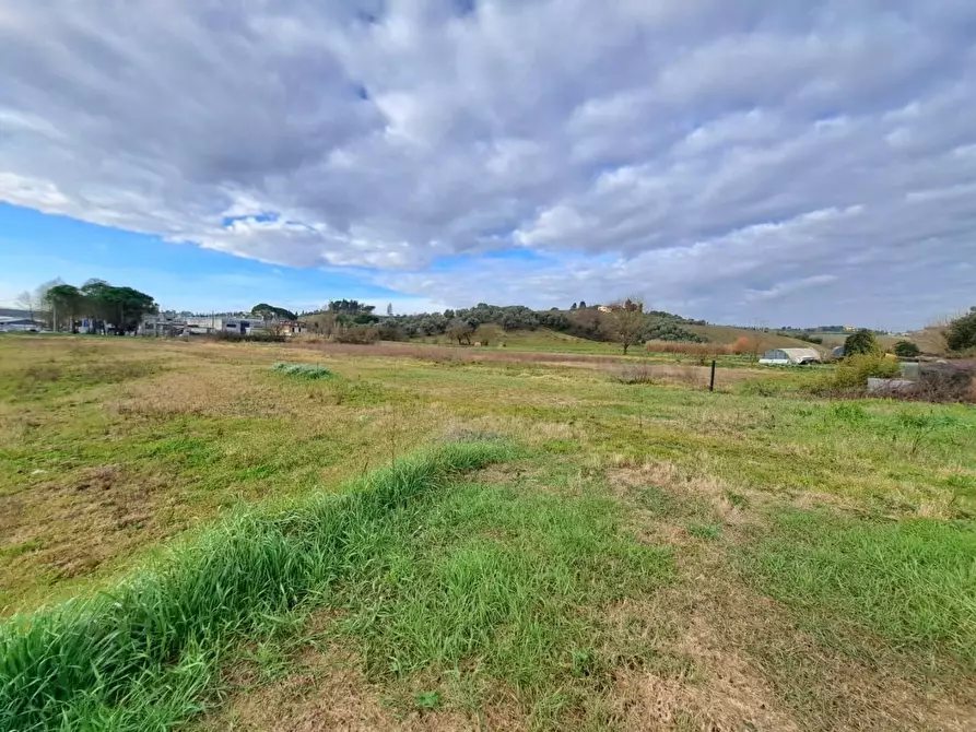 Immagine 6 di Terratetto in vendita  a Cerreto Guidi