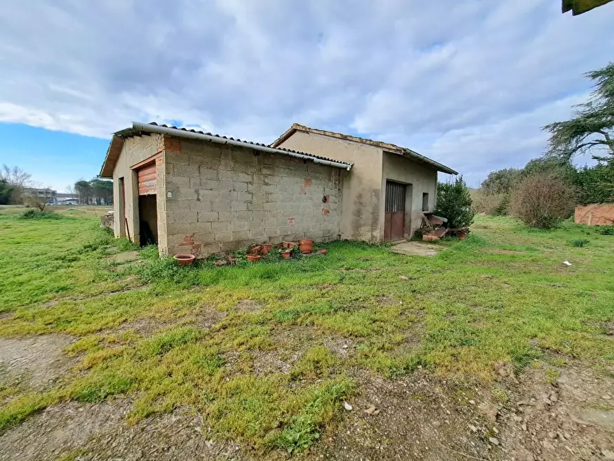 Immagine 3 di Terratetto in vendita  a Cerreto Guidi