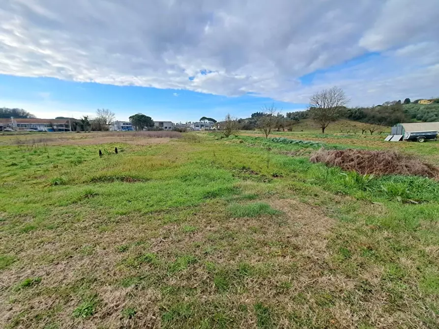 Immagine 12 di Terratetto in vendita  a Cerreto Guidi