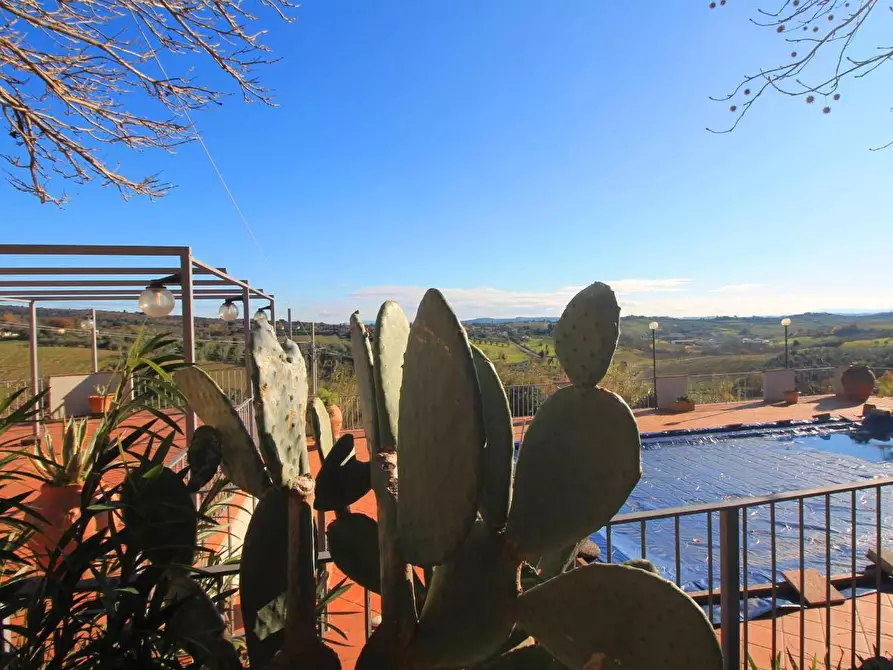 Immagine 38 di Casa colonica in vendita  a Vinci