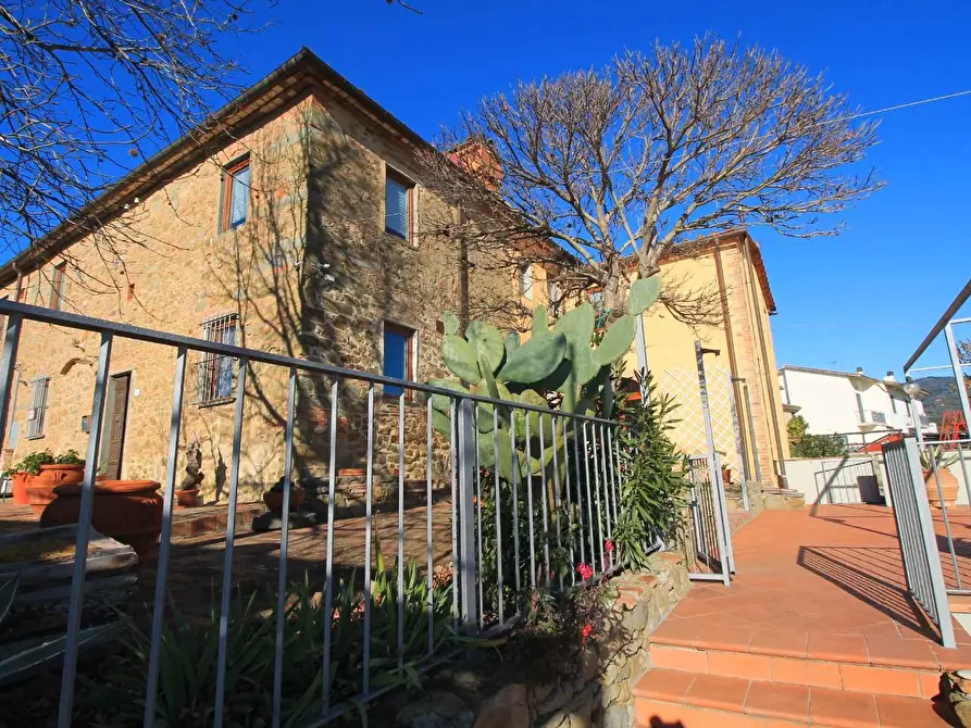 Immagine 46 di Casa colonica in vendita  a Vinci