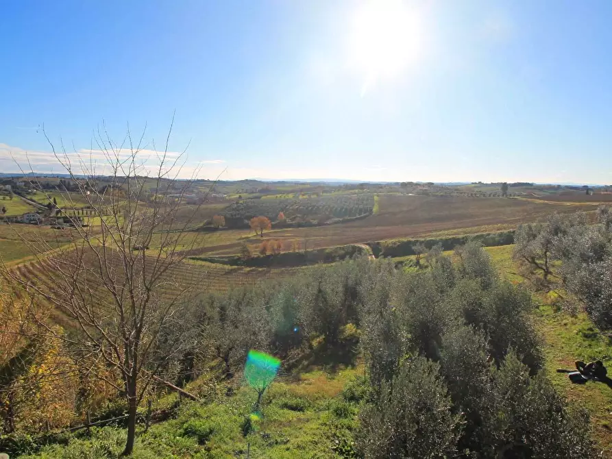 Immagine 42 di Casa colonica in vendita  a Vinci