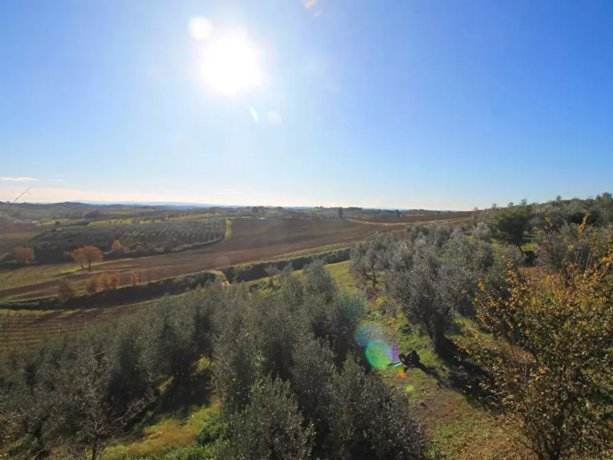 Immagine 44 di Casa colonica in vendita  a Vinci