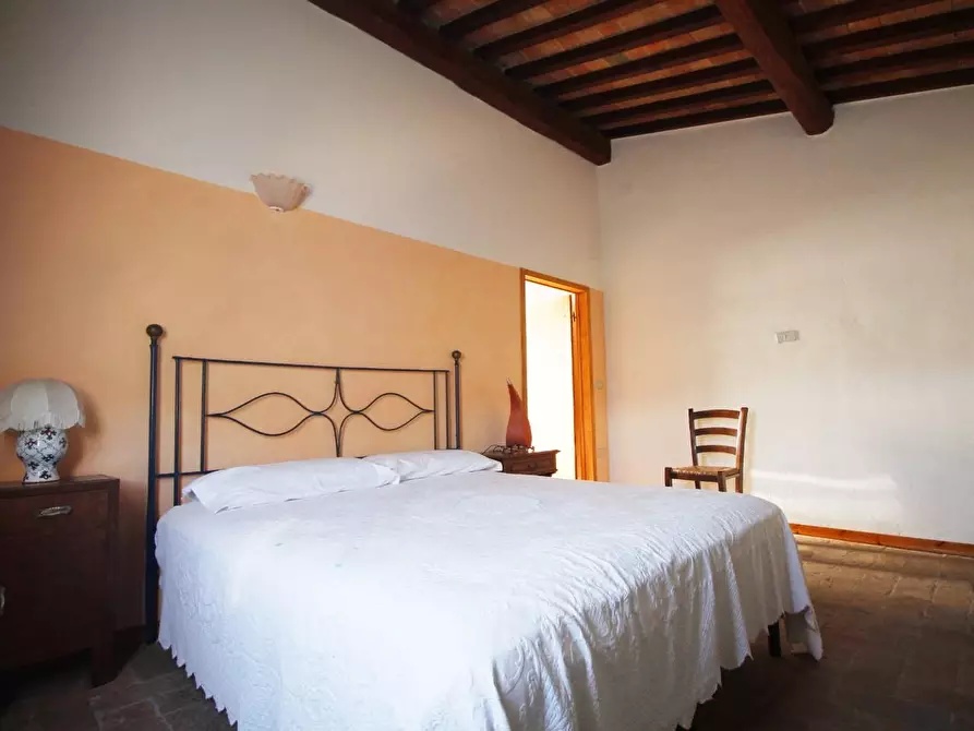 Immagine 33 di Casa colonica in vendita  a Vinci