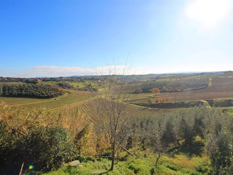 Immagine 43 di Casa colonica in vendita  a Vinci