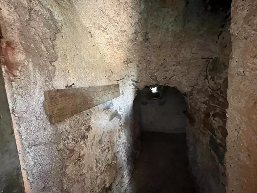 Immagine 38 di Terratetto in vendita  a Sarzana