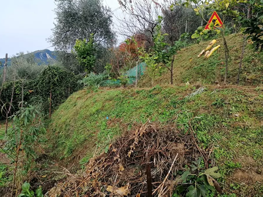 Immagine 5 di Casa bifamiliare in vendita  a Massa
