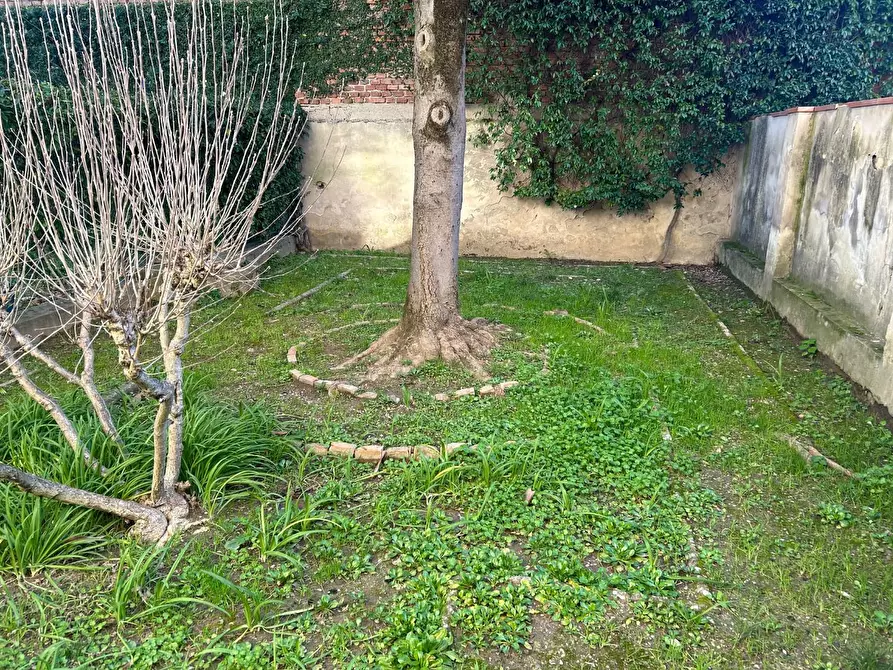 Immagine 16 di Terratetto in vendita  a Empoli