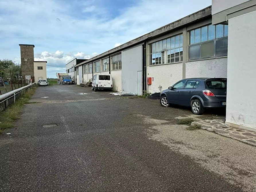 Immagine 1 di Attività artigianale in vendita  a Crespina Lorenzana