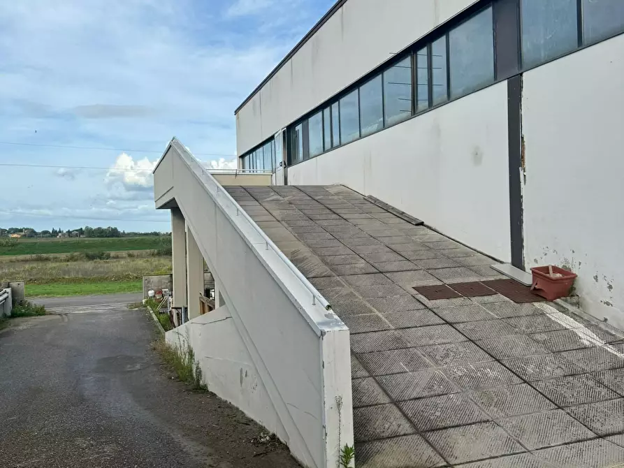 Immagine 6 di Attività artigianale in vendita  a Crespina Lorenzana