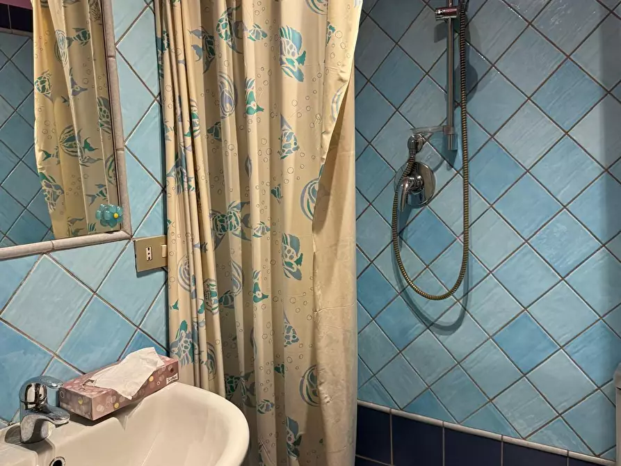 Immagine 30 di Villa in vendita  a Lucca