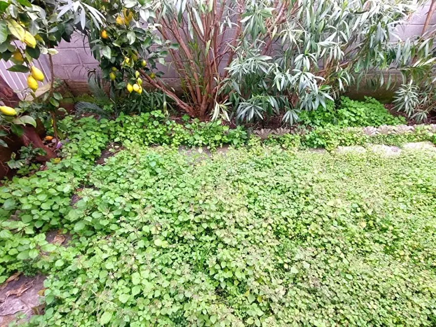 Immagine 22 di Villa in vendita  a Carrara