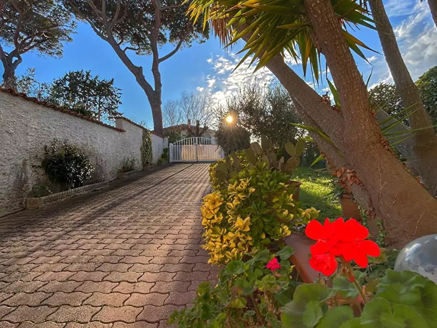 Immagine 23 di Villetta a schiera in vendita  a Livorno