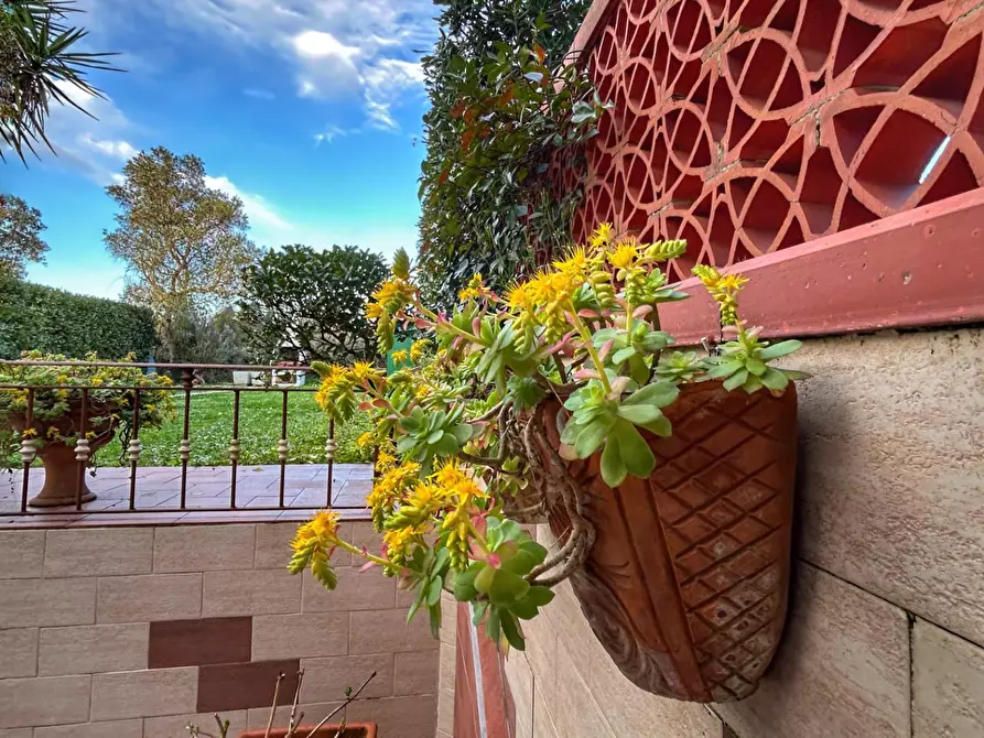 Immagine 26 di Villetta a schiera in vendita  a Livorno