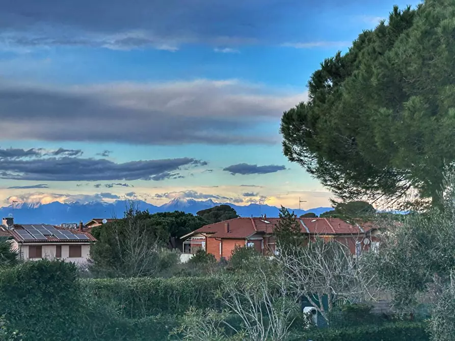 Immagine 1 di Villetta a schiera in vendita  a Livorno