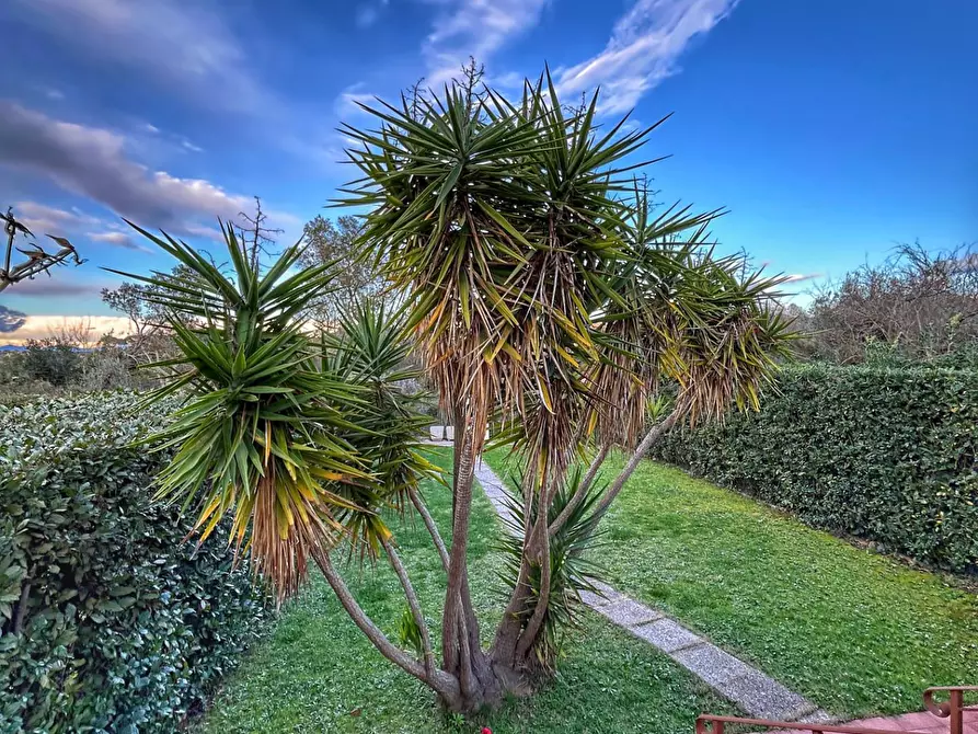 Immagine 4 di Villetta a schiera in vendita  a Livorno