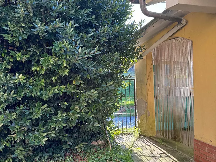 Immagine 7 di Casa bifamiliare in vendita  a Lucca