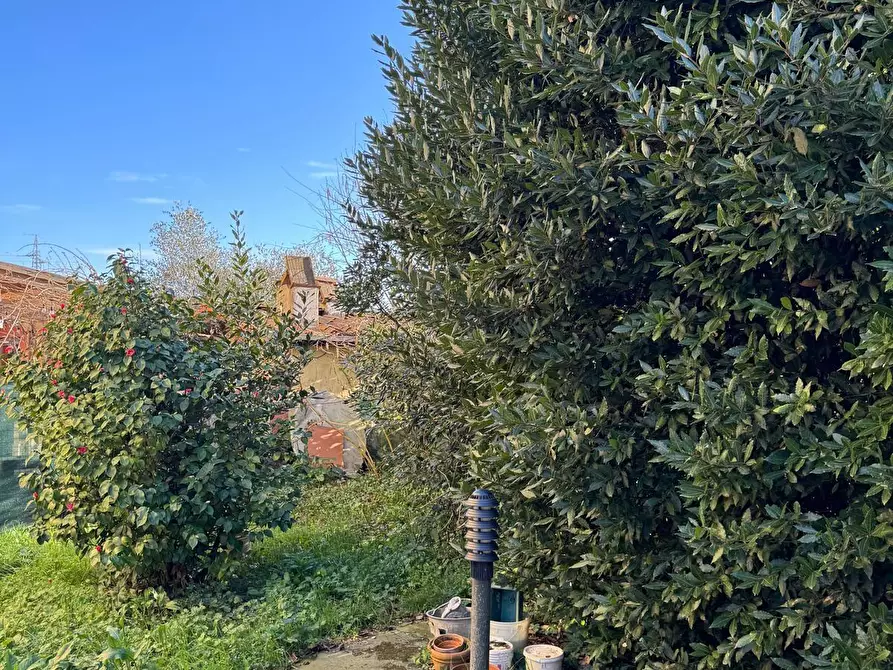 Immagine 14 di Casa bifamiliare in vendita  a Lucca