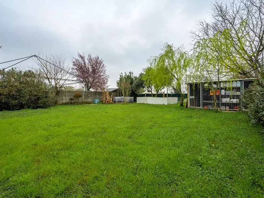 Immagine 38 di Porzione di casa in vendita  a Novellara