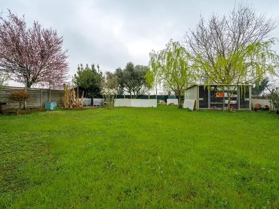 Immagine 39 di Porzione di casa in vendita  a Novellara