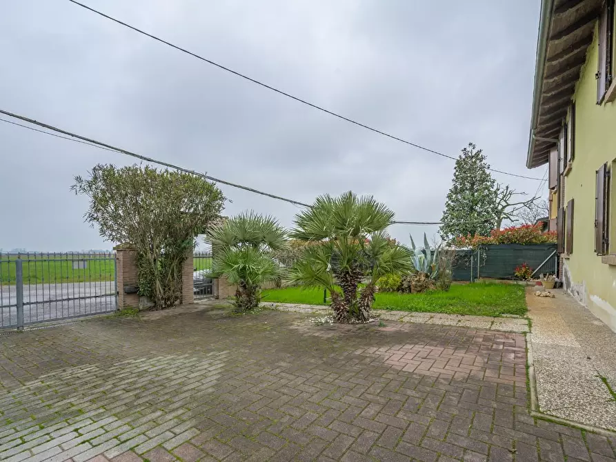Immagine 58 di Porzione di casa in vendita  a Novellara