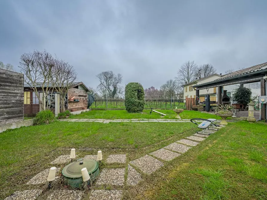 Immagine 49 di Porzione di casa in vendita  a Novellara