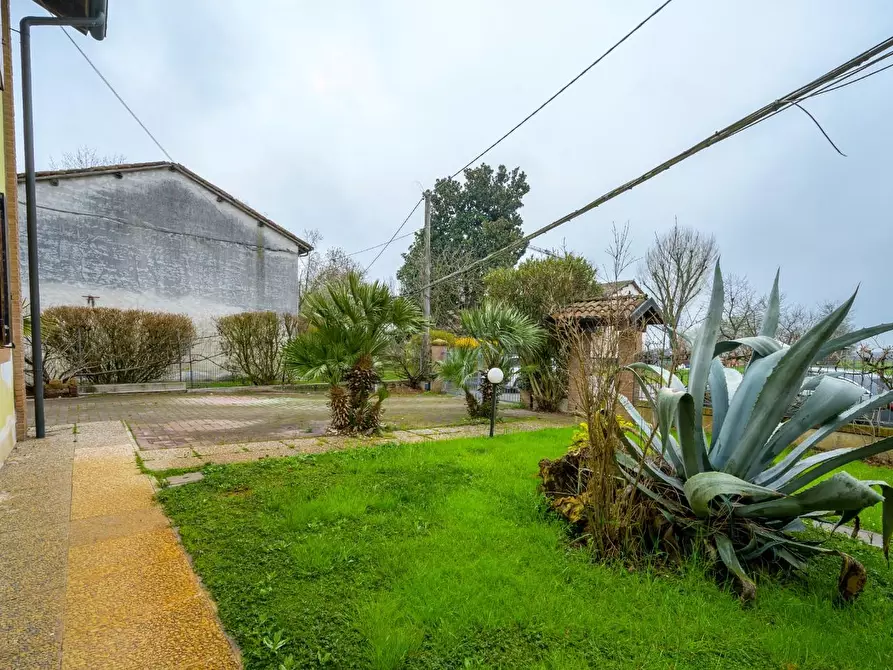 Immagine 57 di Porzione di casa in vendita  a Novellara
