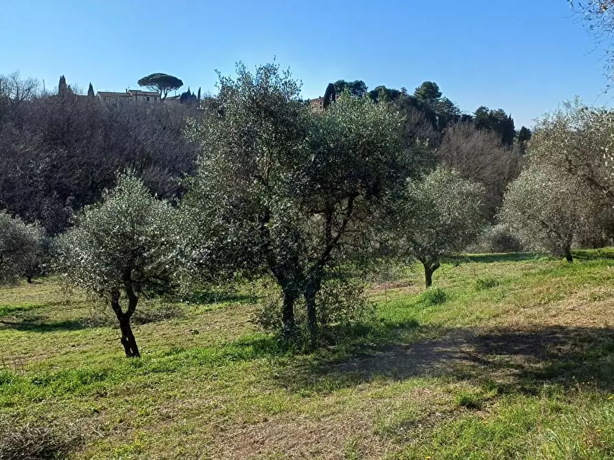 Immagine 3 di Casa indipendente in vendita  a Santa Maria A Monte