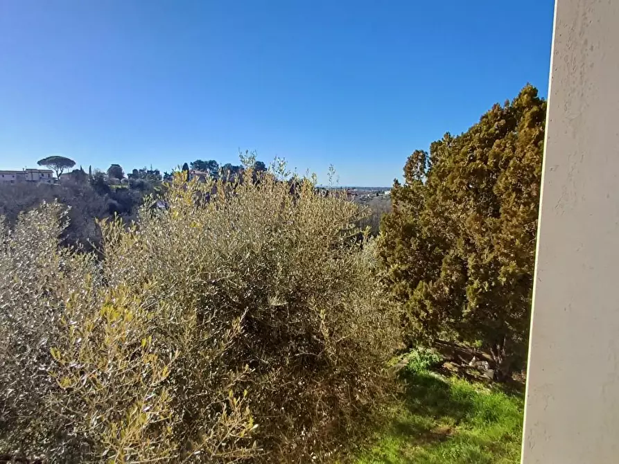 Immagine 19 di Casa indipendente in vendita  a Santa Maria A Monte